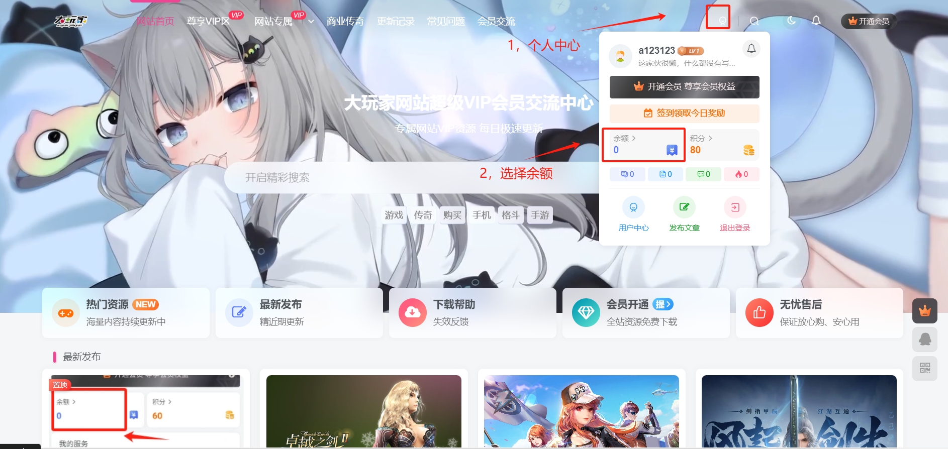 图片[1]-【置顶重要】VIP开通和充值卡使用方法-大玩家