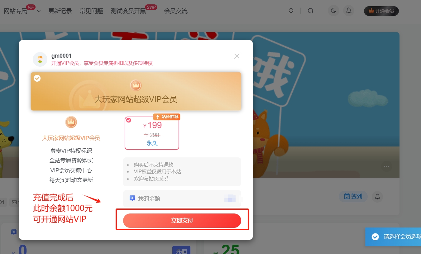图片[4]-【置顶重要】VIP开通和充值卡使用方法-大玩家